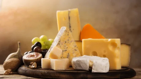 various-types-cheese-stilllife
