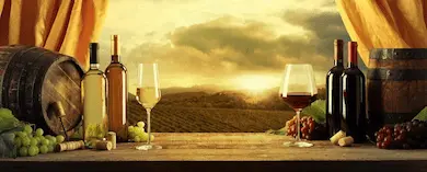 Wine Shop in Singapore | Carecci & Figli
